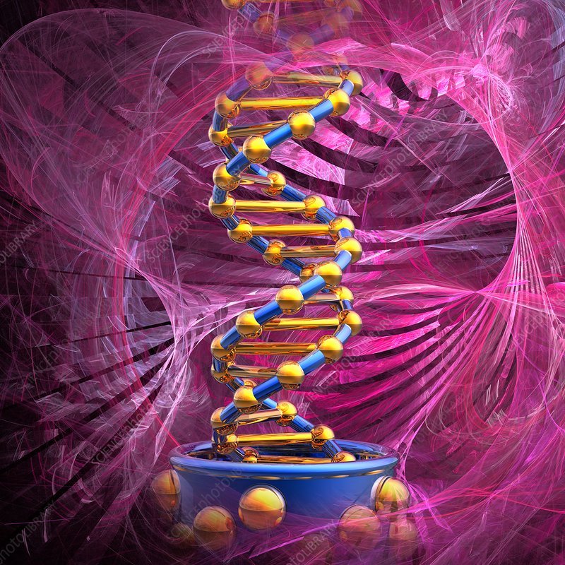 DNA molecule, illustration
